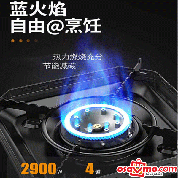 BDZ CN Portable Gas Stove 2900W ONLY for Gas Can at osavmo.co.nz