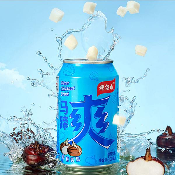 YEO'S CN Water Chestnut Drink 300ml at osavmo.co.nz