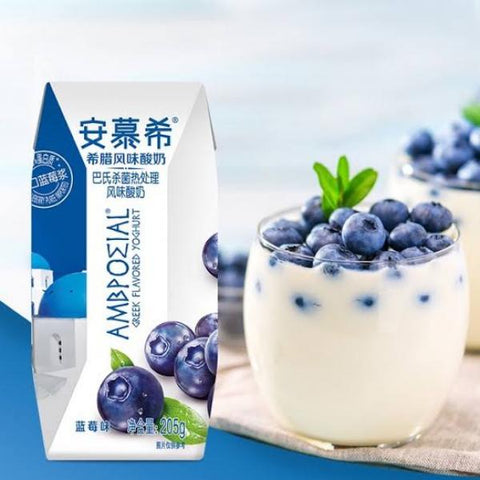 AN MU XI CHN Blueberry Yogurt 205ml/1 Box