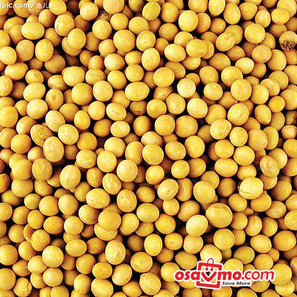 CHINA Soy Bean 1kg at osavmo.co.nz