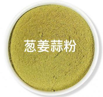 PIN XIANG YUAN CN Spring Onion & Ginger & Garic Powder 50g at osavmo.co.nz
