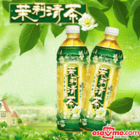 MR KANG CN Jasmine Tea 500ml